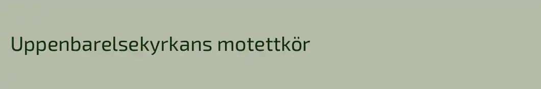 Uppenbarelsekyrkans motettkör